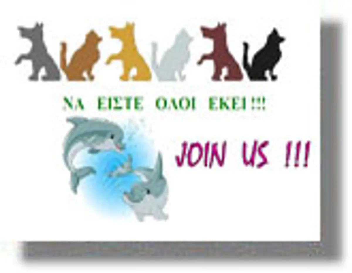 Φιλοζωικό Bazaar από το σωματείο “Φιλόζωοι της Λέρου” το Σάββατο 11/8/2012