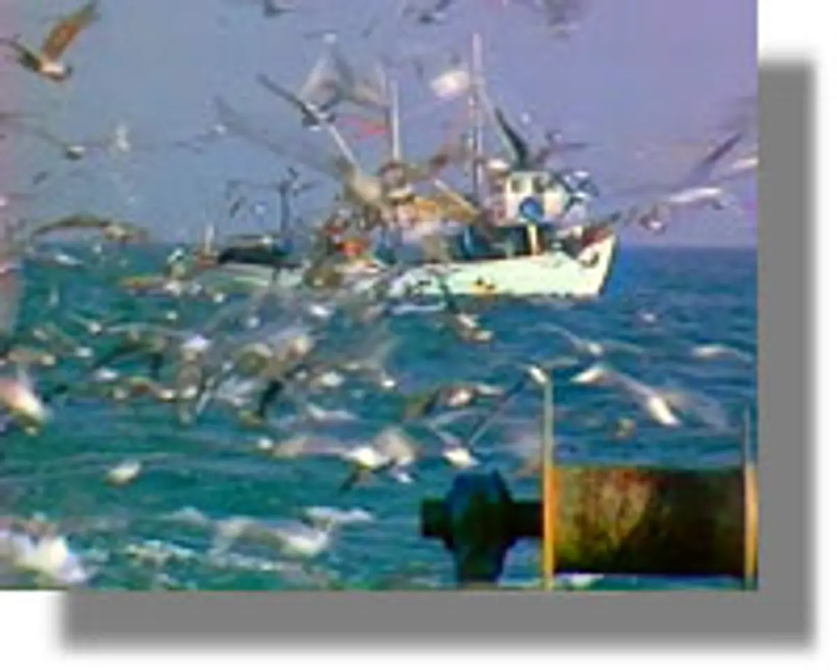 Ο περιφερειακός σύμβουλος Μιχάλης Τρεμόπουλος καταγγέλλει παράνομη αλιεία με βενζινότρατες στη Λέρο