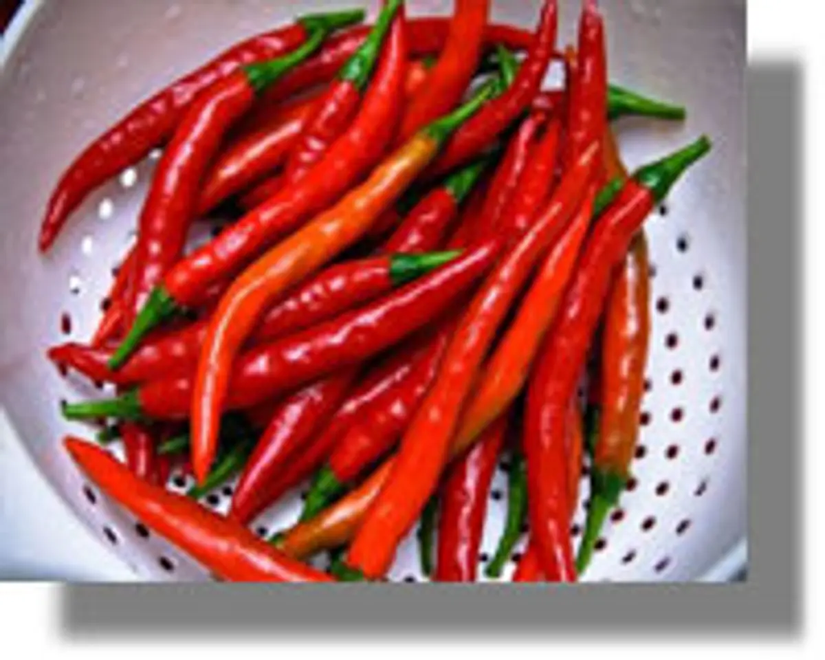 Το απόλυτο φάρμακο για να γλυτώσεις καρδιοπάθειες, καρκίνο και έλκος στομάχου!