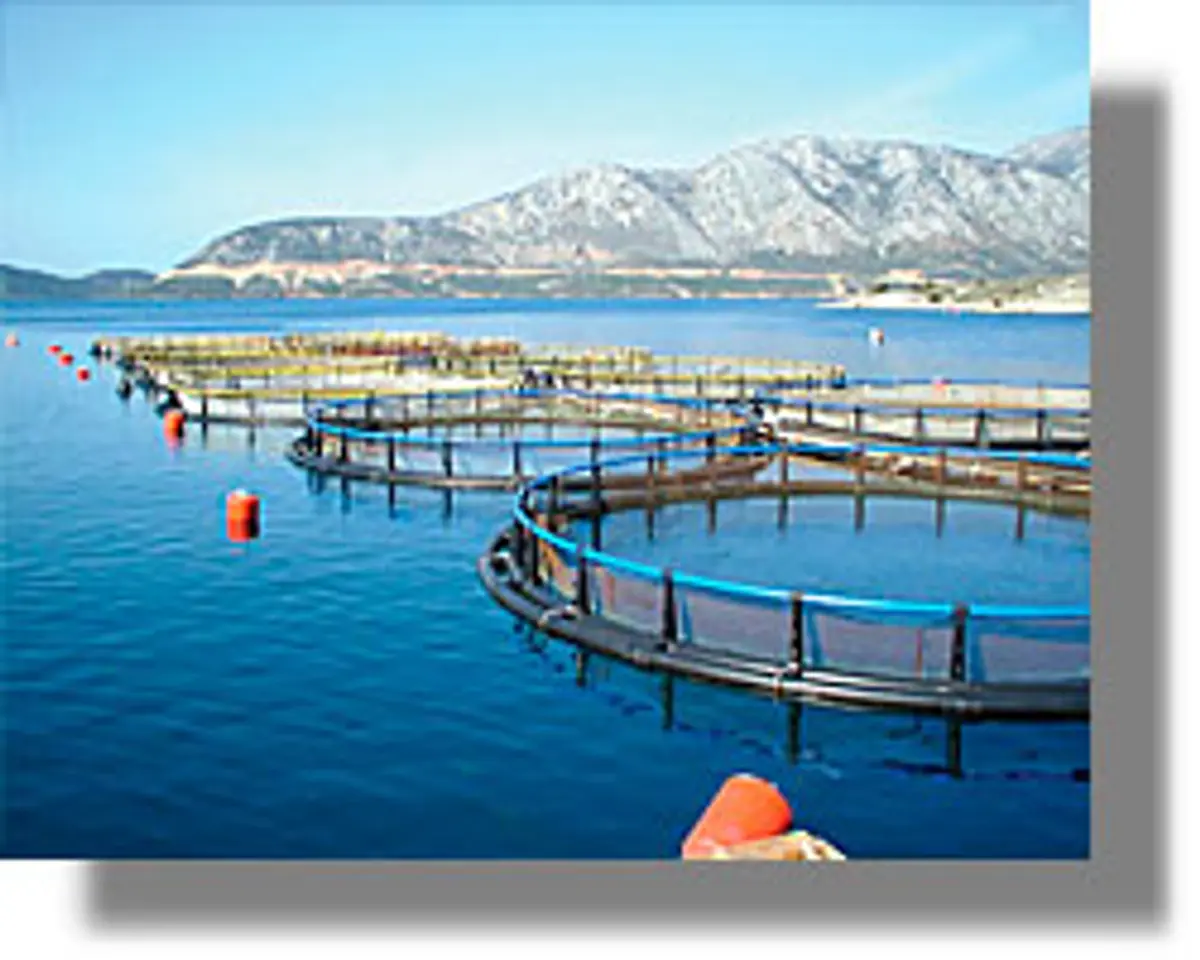 πρόγραμμα Αλιείας