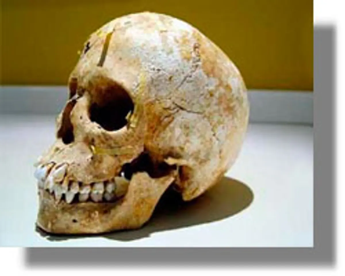 ανθρώπινος σκελετός