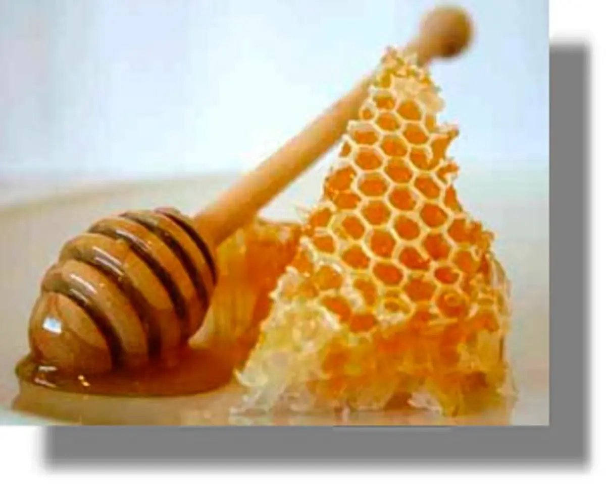 Ενίσχυση 32.724 για τον Μελισσοκομικό Συνεταιρισμό Λέρου