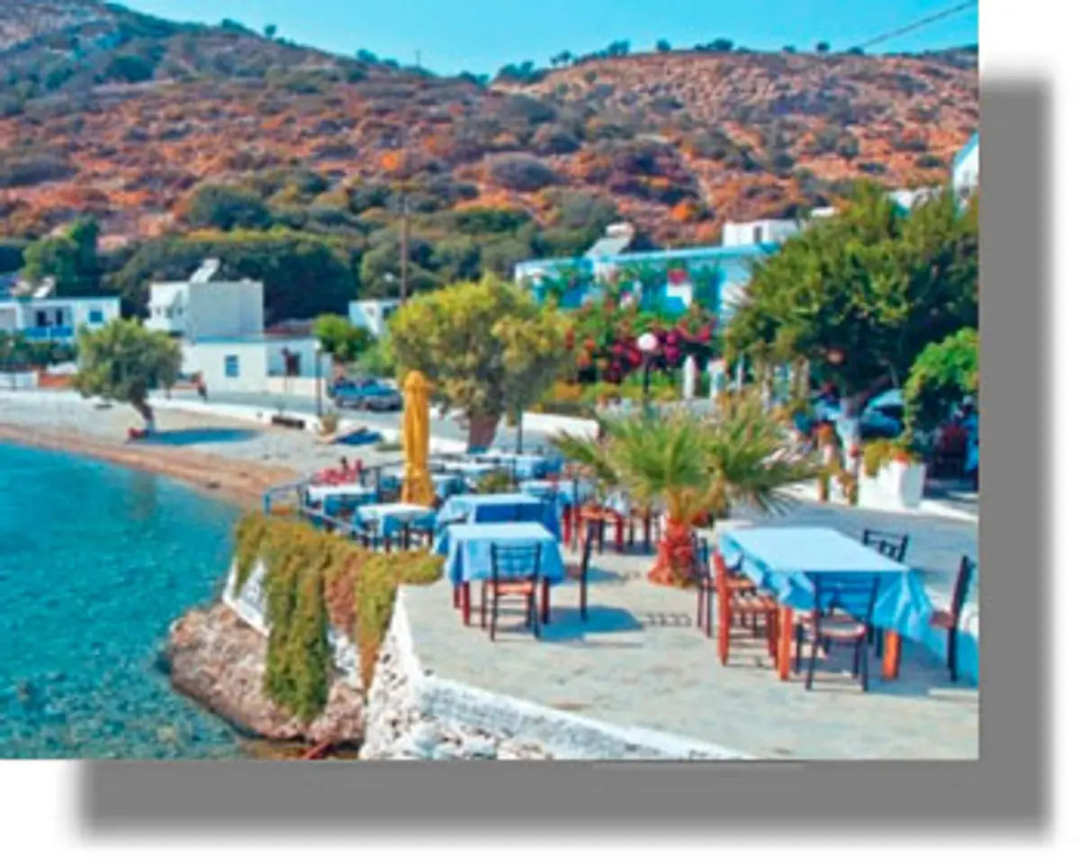 Τα… δάση του Νοτίου Αιγαίου