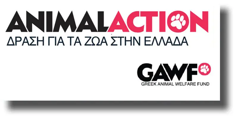 ΛΕΡΟΣ: Πρόγραμμα Φροντίδας Ιπποειδών από την Animal Action Hellas