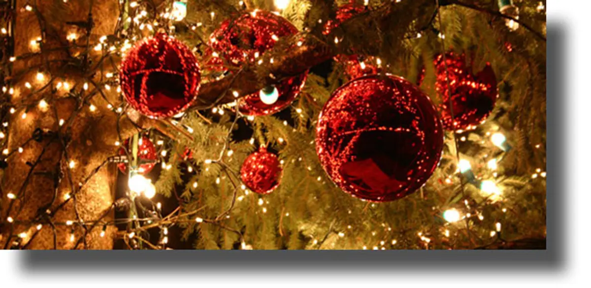 Χριστουγεννιάτικες ευχές Επάρχου Π.Ε. Καλύμνου