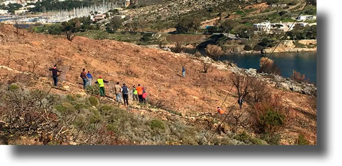 ΛΕΡΟΣ: Δεντροφύτευση στην πυρόπληκτη περιοχή των Λεπίδων από τον Δήμο
