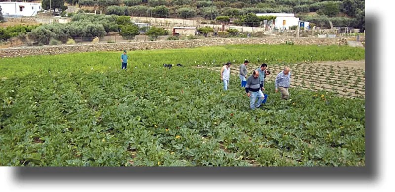 ΛΕΡΟΣ: Ο Κοι.Σ.Π.Ε επεκτείνεται και στην Ρόδο με την αρωγή της Περιφέρειας