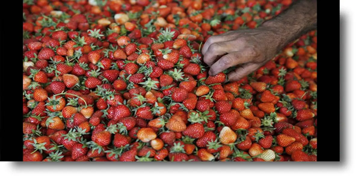 Αυτά είναι τα πιο μολυσμένα φρούτα και λαχανικά για το 2018