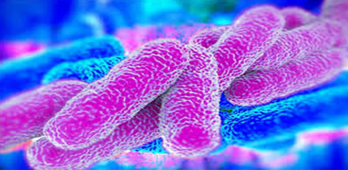 Μυστηριώδες μικρόβιο εξαπλώνεται στον κόσμο – Τι αποκαλύπτουν οι New York Times