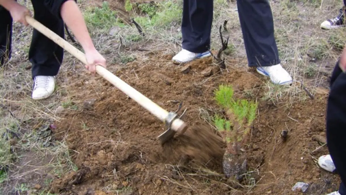 Λέρος: Αύριο Κυριακή 24/3 η δενδροφύτευση στον Ξηρόκαμπο