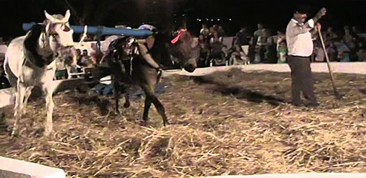 Λέρος: Πρόσκληση στη γιορτή του Αλωνάρη – Αγρότη