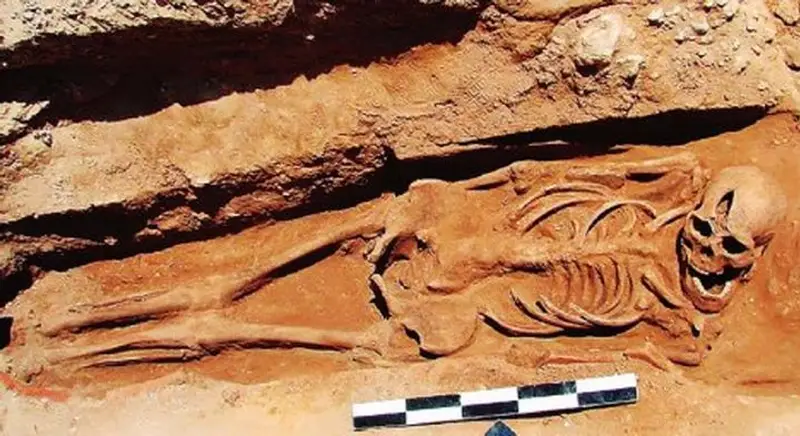 skeletos