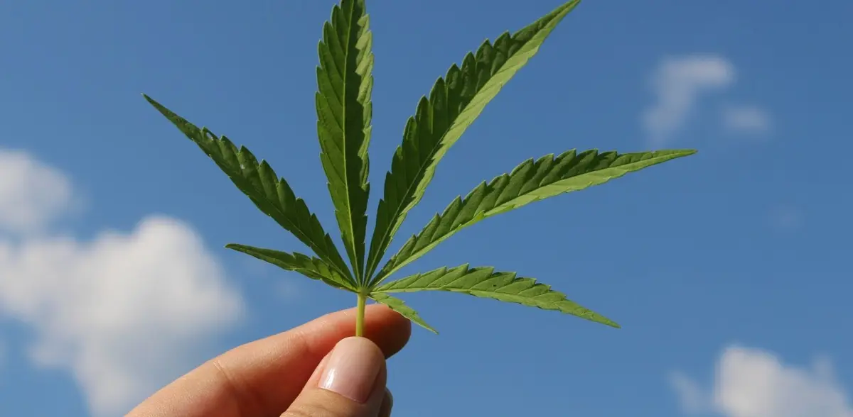 Ο ΟΗΕ αφαίρεσε την κάνναβη από τη λίστα με τα επικίνδυνα ναρκωτικά