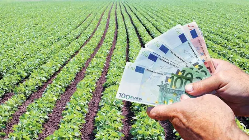 Επιστολή παρέμβασης της Περιφέρειας για τα δικαιολογητικά αποζημιώσεων των αγροτών