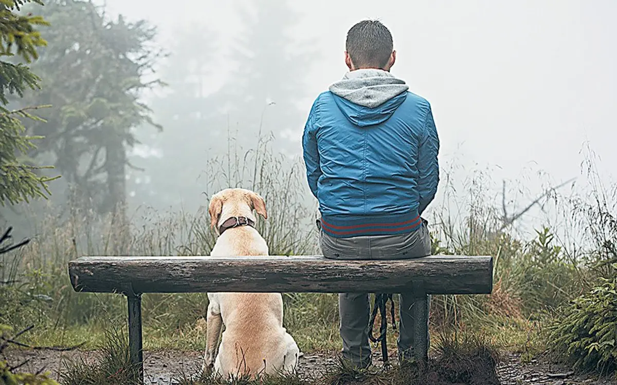 Το σχέδιο νόμου για τα ζώα ή πώς η ελπίδα πέθανε νωρίς