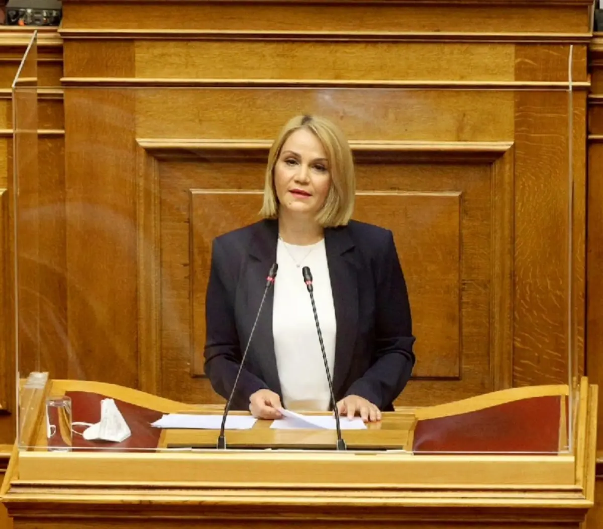 Προτάσεις για σχολικούς νοσηλευτές και ειδικά κίνητρα για τους εκπαιδευτικούς που υπηρετούν στα νησιά, κατέθεσε με ομιλία της στη Βουλή η Μίκα Ιατρίδη