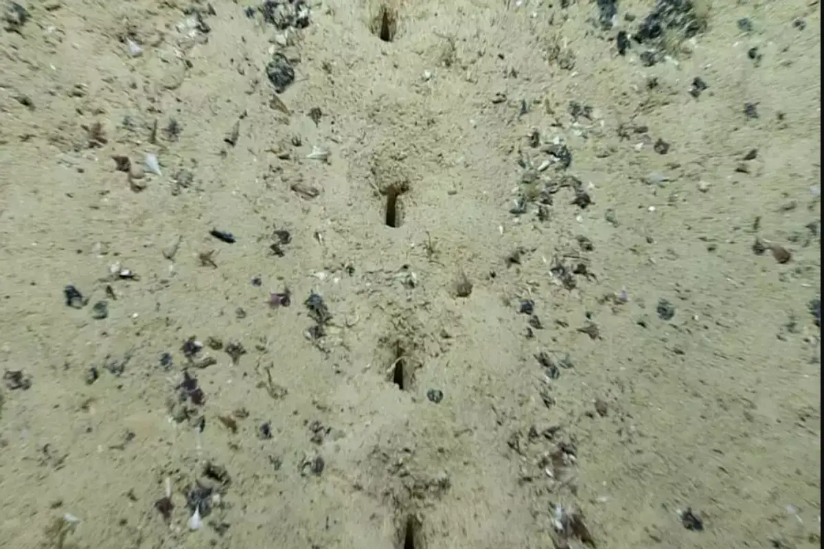 Μυστηριώδεις τρύπες βρέθηκαν στον πυθμένα του Ατλαντικού ωκεανού – Γιατί προβληματίζουν τους επιστήμονες