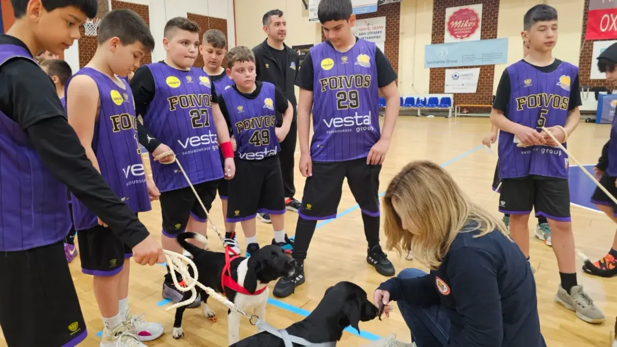 Λέρος: Συγκινητική πρωτοβουλία από τον Πανιώνιο για τα αδέσποτα!