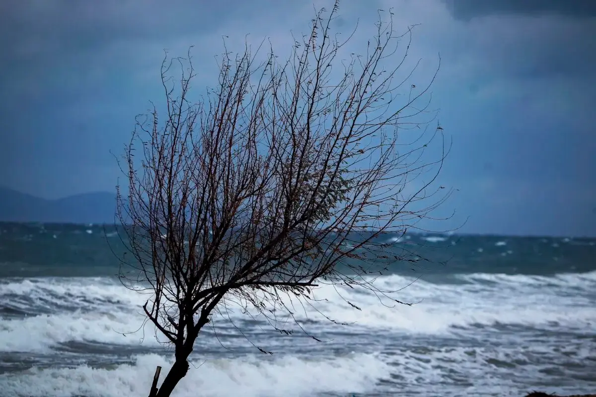 ΕΜΥ: Βροχές, καταιγίδες και άνεμοι 7 με 8 μποφόρ για σήμερα στα Δωδεκάνησα