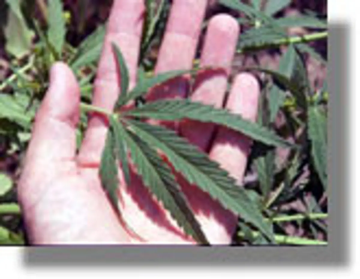 Λιμενικός συνελήφθη στους Λειψούς για κατοχή ναρκωτικών