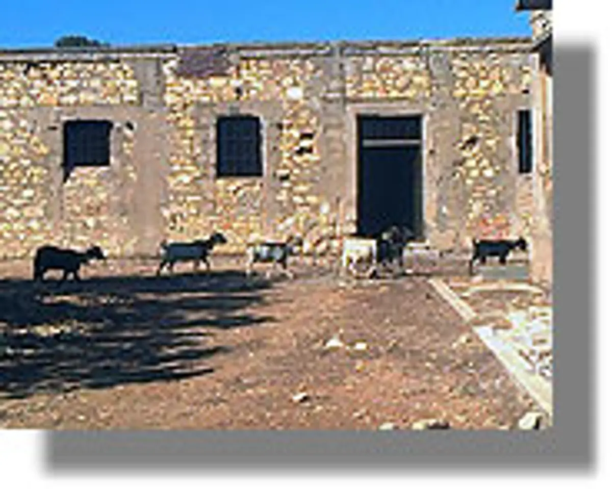 Λέρος: Δημοτικοί Σύμβουλοι καταγγέλλουν ότι τα ιστορικά μνημεία έχουν αφεθεί στο έλεος αιγοπροβάτων