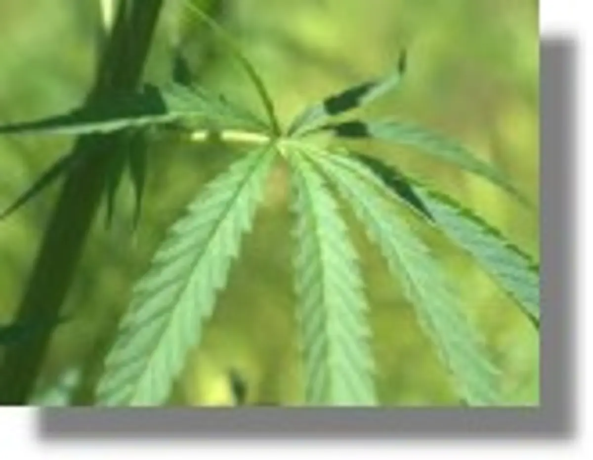 Σύλληψη για ναρκωτικά στην Πάτμο