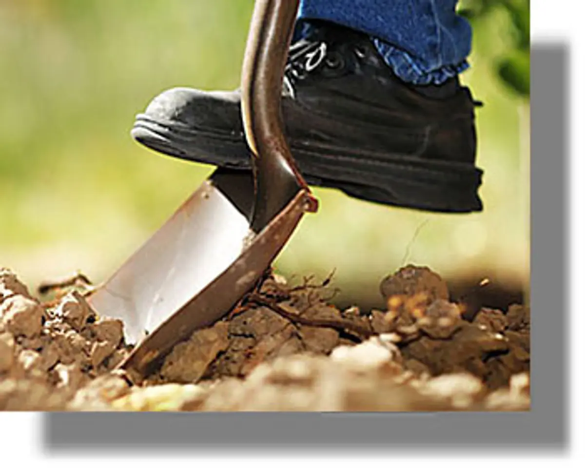 νεοι γεωργοί