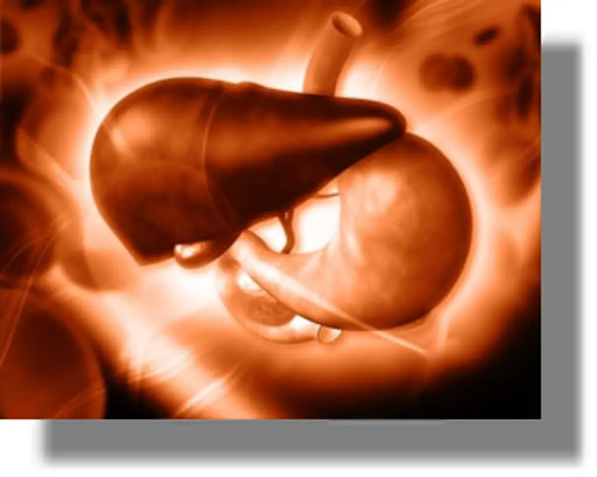 Τέσσερα σημάδια ότι το συκώτι σας υποφέρει