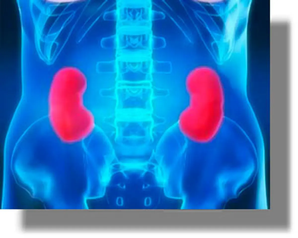 Εάν έχετε αυτά τα συμπτώματα, κάτι δεν πάει καλά με τους νεφρούς σας