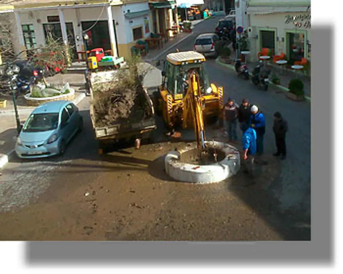 ΛΕΡΟΣ: Αντικαταστάθηκε ο Πλάτανος στην ομώνυμη πλατεία!