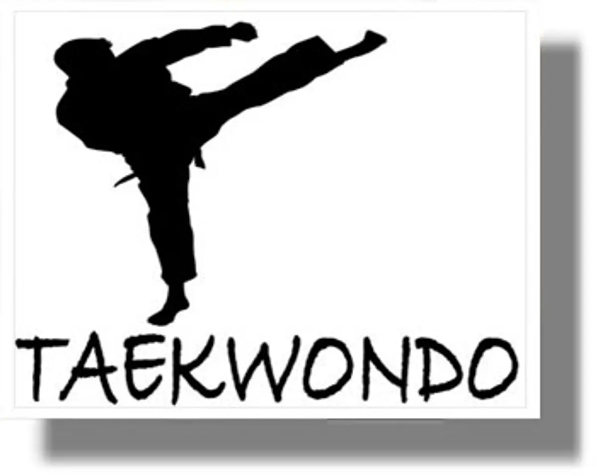ΛΕΡΟΣ: Ξεκίνησαν οι εγγραφές στον αθλητικό σύλλογο TAEKWON DO