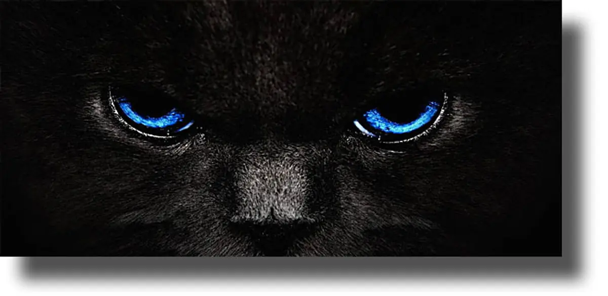 Ο… «έσκισα τη γάτα» είναι σοβαρά… γρατζουνισμένος!