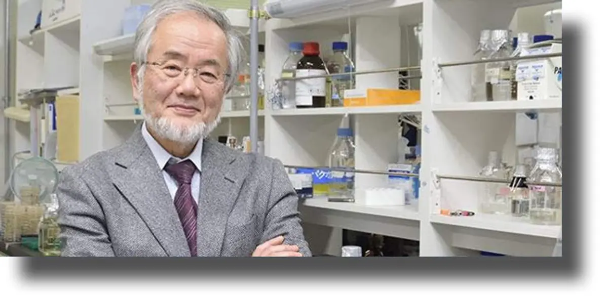 Το Νόμπελ Ιατρικής στον άνθρωπο που απέδειξε πως είναι καλό να… τρώμε τον εαυτό μας!