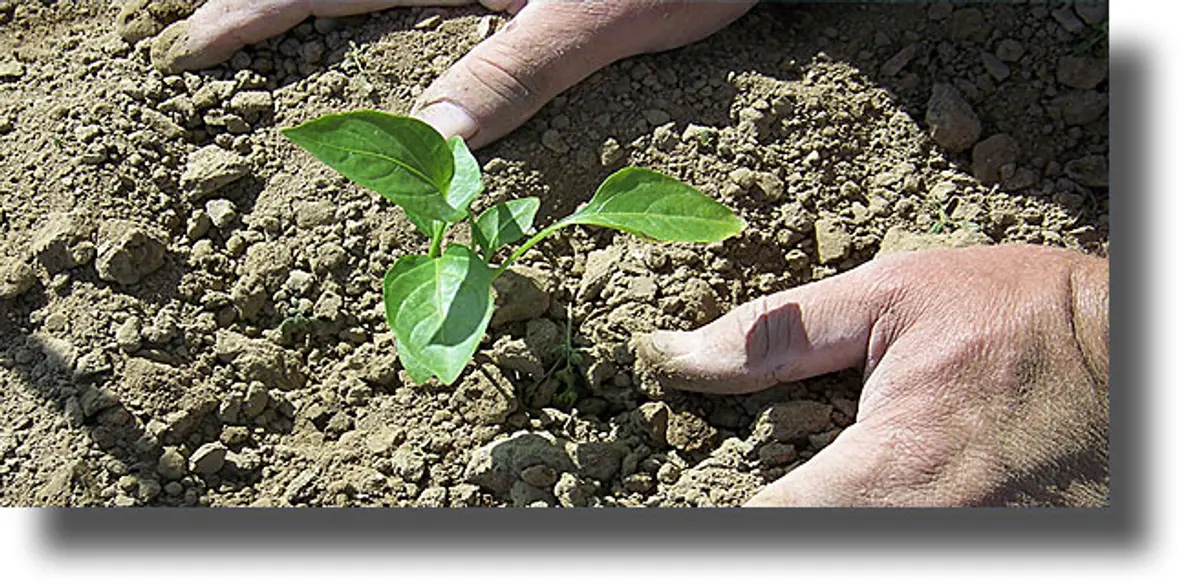 Εξαφανίζεται το χώμα από τα νησιά του Αιγαίου