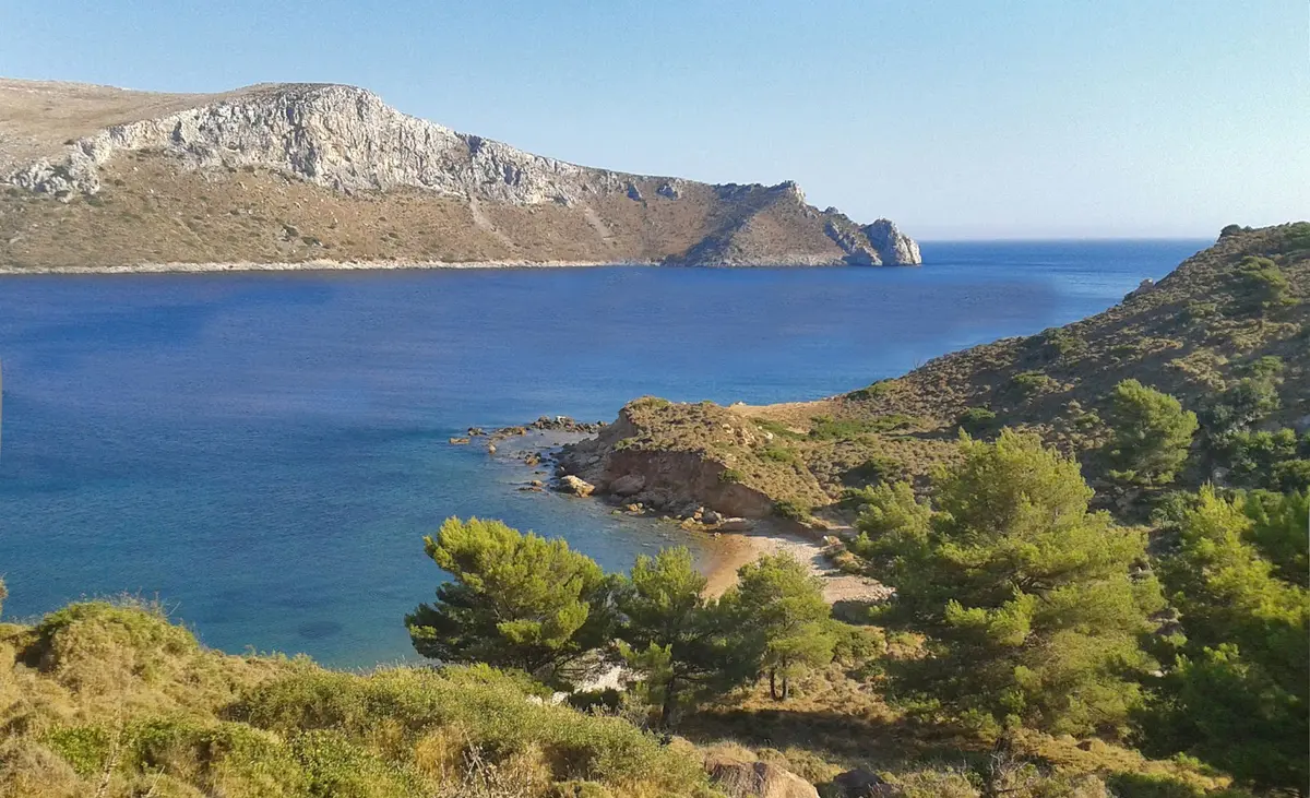 Λέρος: Απαγόρευση βοσκής από το Δασαρχείο, στην καμένη έκταση στη «Μερικιά»