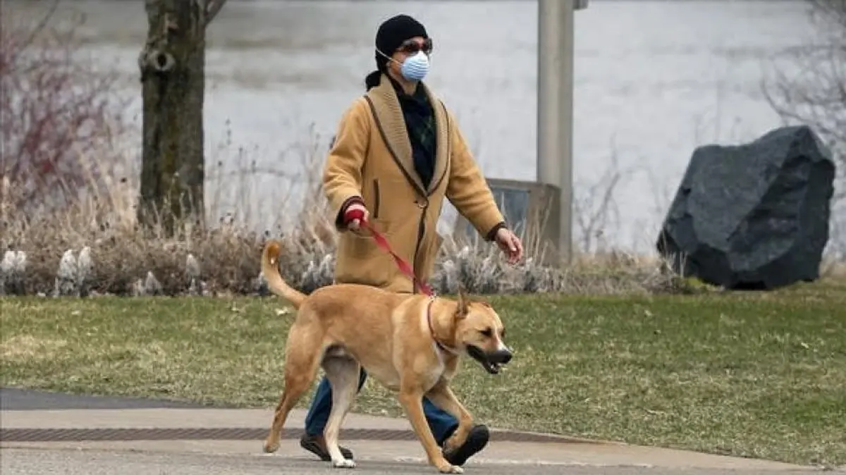 Πόσα κατοικίδια επιτρέπονται σε κάθε σπίτι – Νέος νόμος