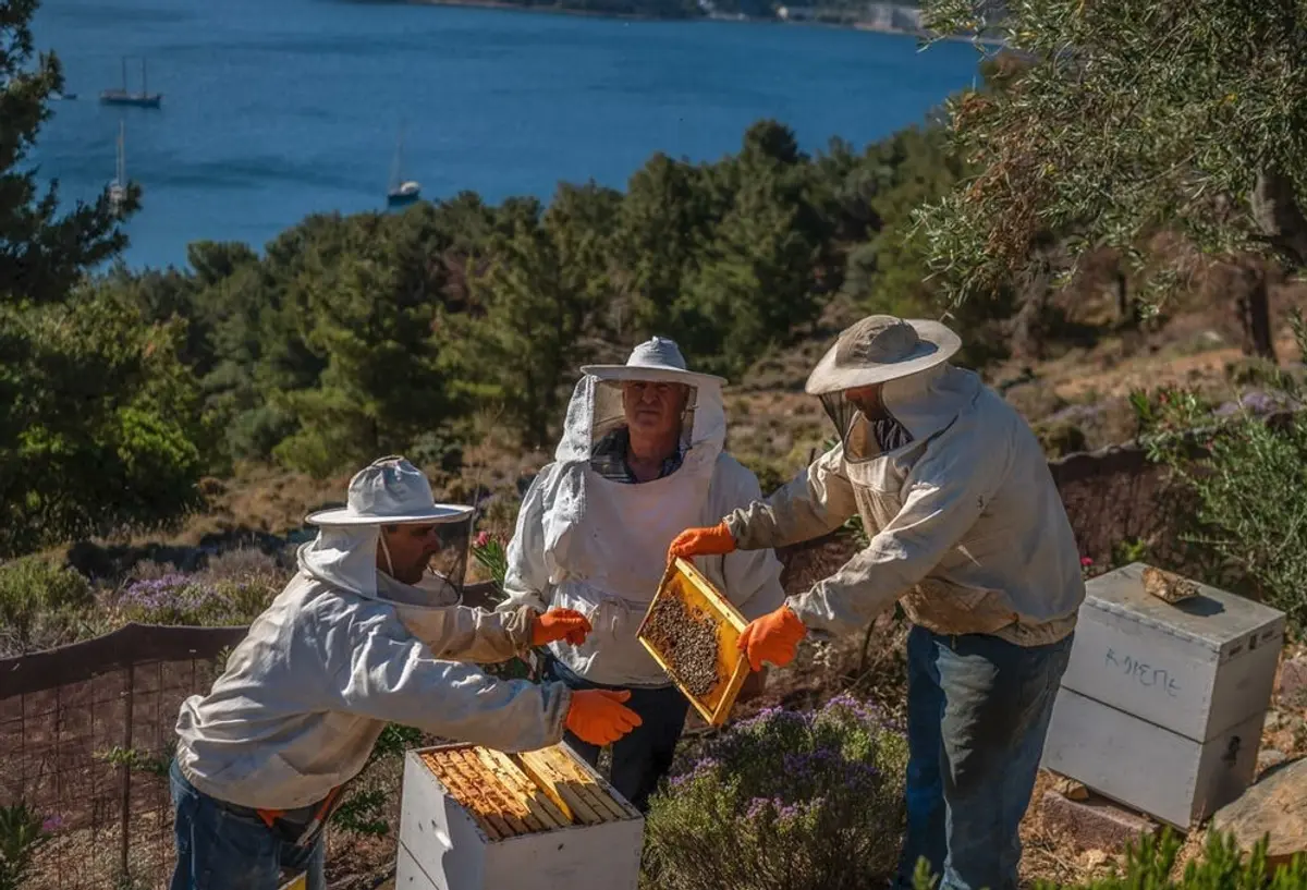 Λέρος: Εκτενής αναφορά στο νησί από μεγάλα ειδησεογραφικά δίκτυα λόγω δράσεων του ΚοιΣΠΕ