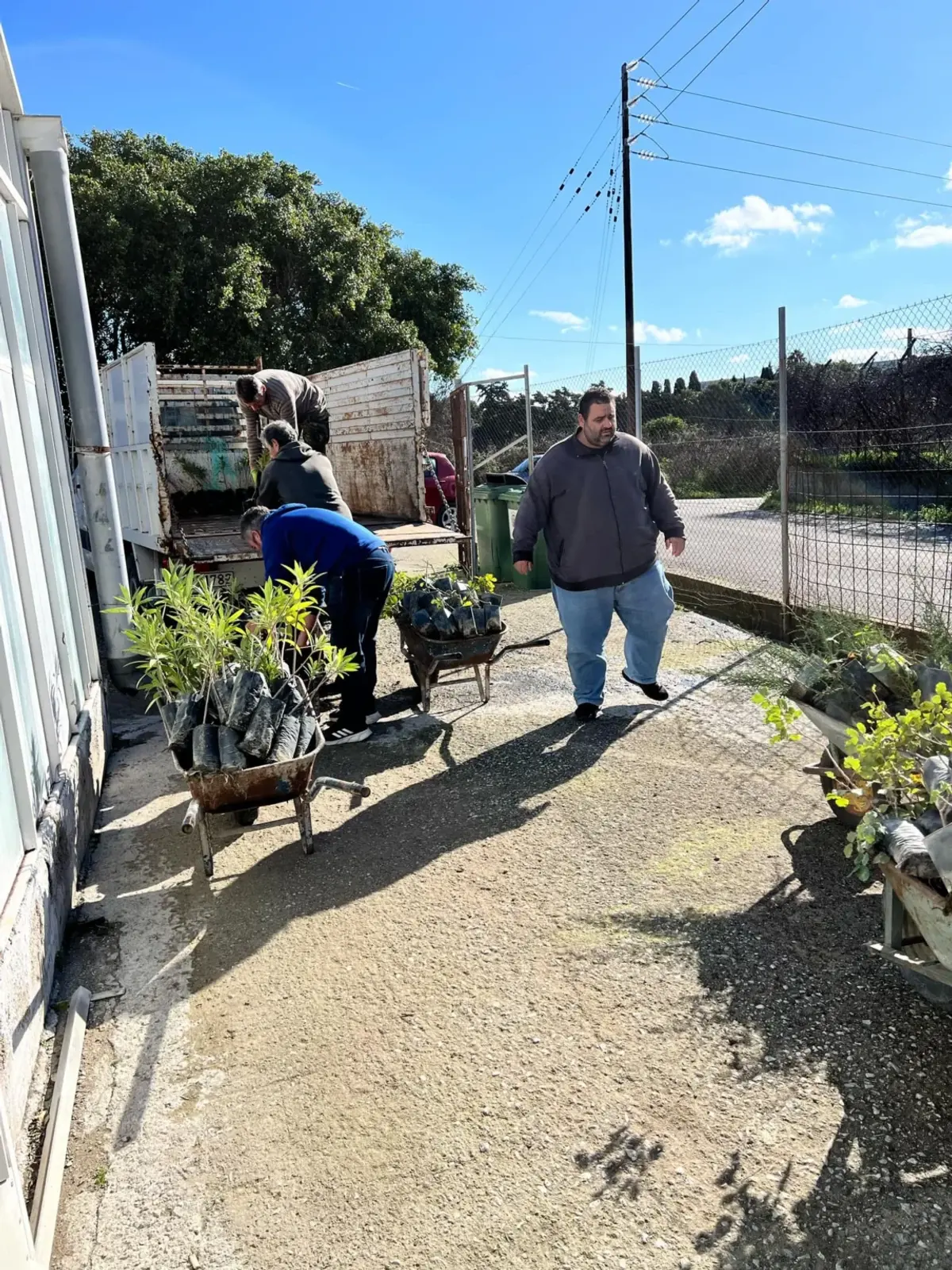 Σωρεία παραδόσεων από το Φυτώριο της Περιφέρειας Νοτίου Αιγαίου για την ενίσχυση της πράσινης ανάπτυξης στα νησιά