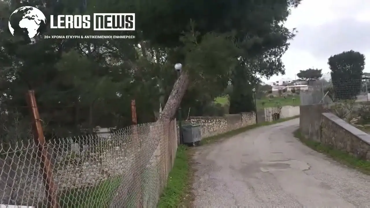 Λέρος: Κινήθηκαν άμεσα, Δήμος - Νοσοκομείο, για το επικίνδυνο πεύκο στο Λακκί!