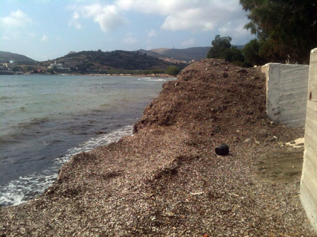 LEROS NEWS