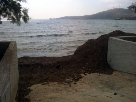 LEROS NEWS