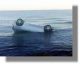 ΣΟΚ στο νησί της Λέρου: Νεκροί 2 νέοι άνθρωποι από πτώση αυτοκινήτου στη θάλασσα!