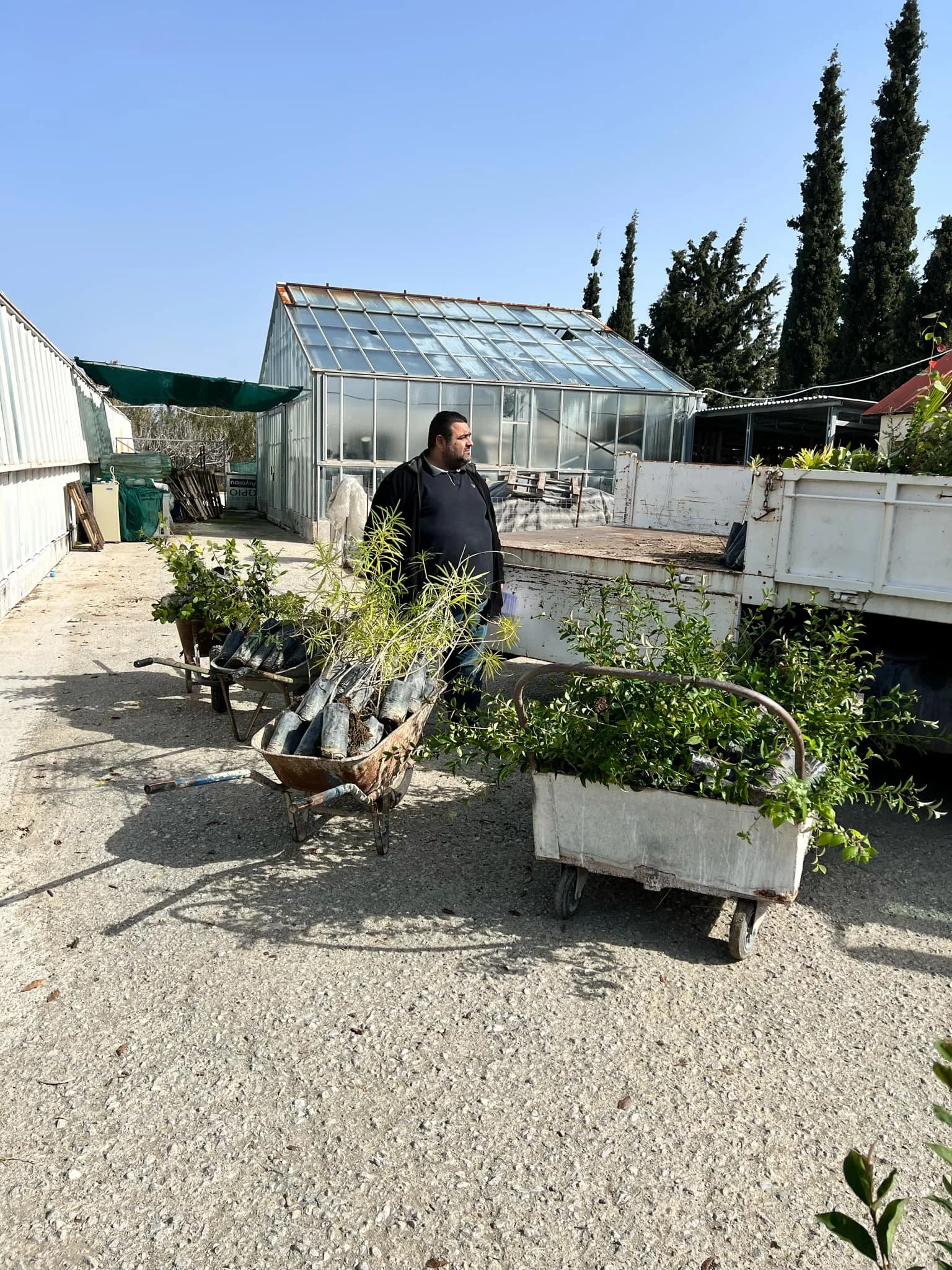 Περισσότερα από 3000 χιλιάδες φυτά διέθεσε σε φορείς των νησιών το Περιφερειακό Φυτώριο Νοτίου Αιγαίου