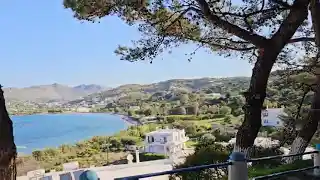 Λέρος: Κοπή επικίνδυνου ξερού δέντρου στην Αγ. Ειρήνη [VIDEO]