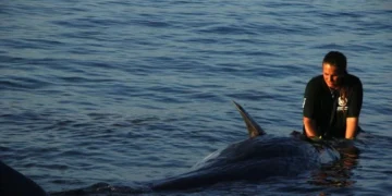 Νεαρός Φυσητήρας Εκβράστηκε Νεκρός στη Σάμο