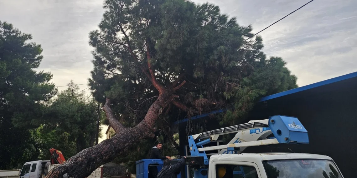 Λέρος: Δέντρο ξεριζώθηκε και έπεσε σε κτίριο