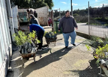 Σωρεία παραδόσεων από το Φυτώριο της Περιφέρειας Νοτίου Αιγαίου για την  ενίσχυση της πράσινης ανάπτυξης στα νησιά