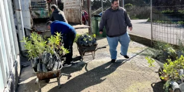 Σωρεία παραδόσεων από το Φυτώριο της Περιφέρειας Νοτίου Αιγαίου για την  ενίσχυση της πράσινης ανάπτυξης στα νησιά