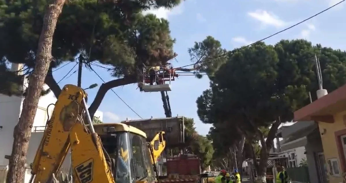 Λέρος: Εντυπωσιακό κλάδεμα των δέντρων στο νησί