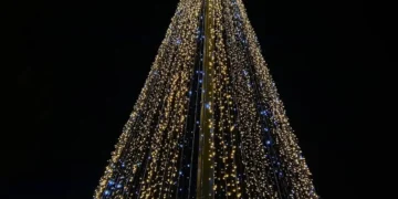 Λέρος: Με λαμπρότητα πραγματοποιήθηκε η φωταγώγηση του Χριστουγεννιάτικου δέντρου